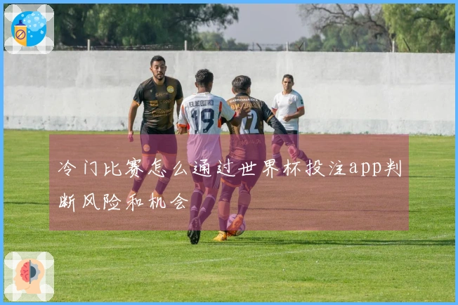 冷门比赛怎么通过世界杯投注app判断风险和机会