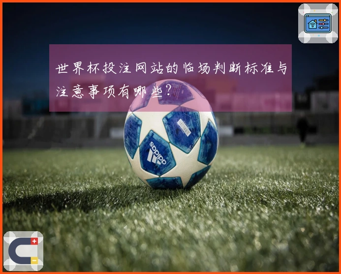 世界杯投注网站的临场判断标准与注意事项有哪些？
