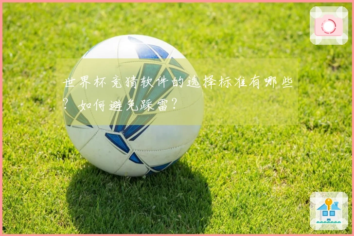 世界杯竞猜软件的选择标准有哪些？如何避免踩雷？