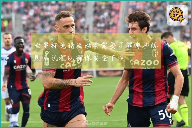 世界杯竞猜活动前需要了解哪些规则和流程以确保安全下注